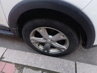 Haval H1