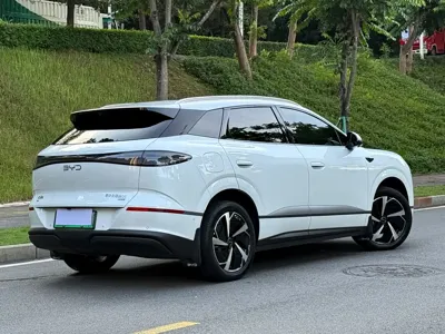 BYD 海狮06