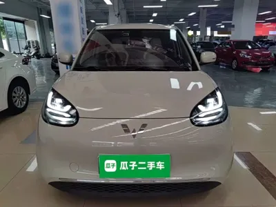 Wuling Bingo