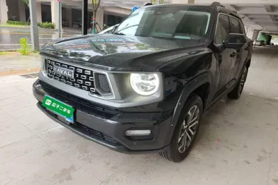 Haval H Dog