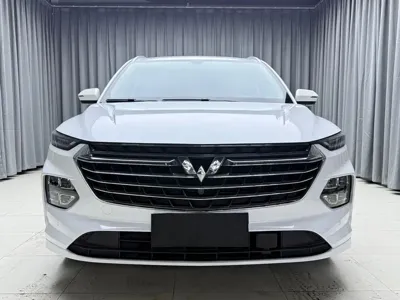 Wuling Victory