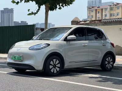 Wuling Bingo