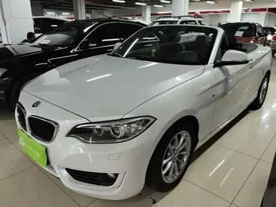 BMW 2 Series (Import)