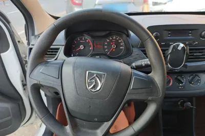 Baojun 310