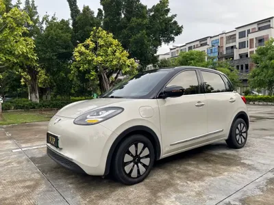 Wuling Bingo