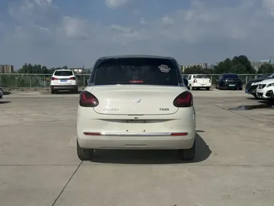 Wuling Bingo