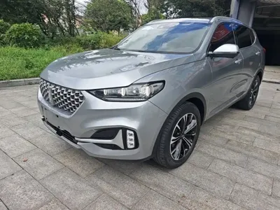 WEY Wey VV6