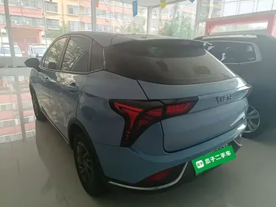 NETA Neta V