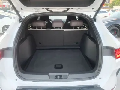 BYD PLUS New Energy