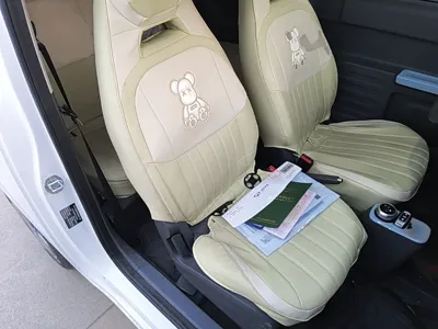 Geely Galaxy Panda