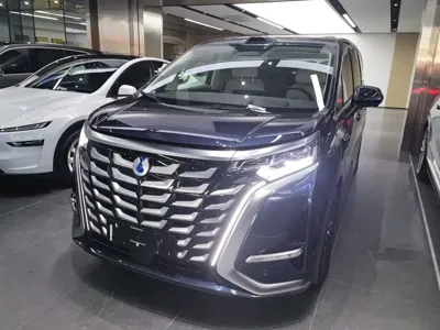 Denza Denza D9