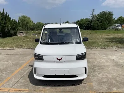 Wuling Zhiguang EV