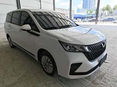 Wuling Jiachen