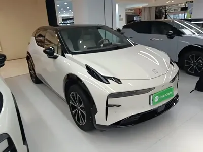 Zeekr X