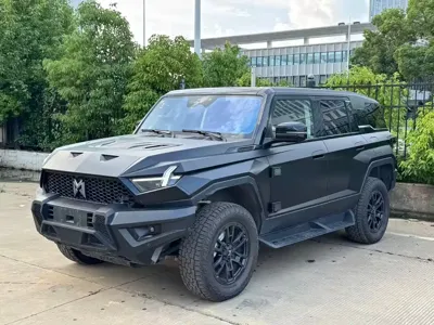 Mengshi Mengshi 917