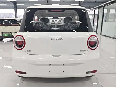 Qiyuan Lumin