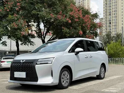 Wuling 星光730
