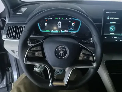 BYD PLUS New Energy