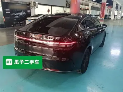 BYD Destroyer 05