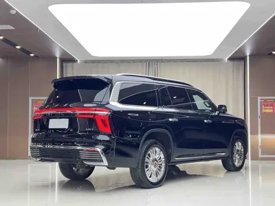 Hongqi 红旗金葵花国耀