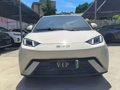 BYD Seagull