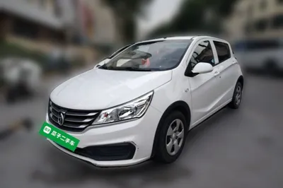 Baojun 310
