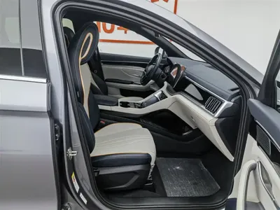 BYD PLUS New Energy