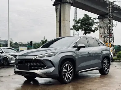 BYD L DM-i