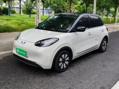 Wuling Bingo