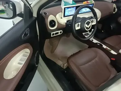Wuling Bingo