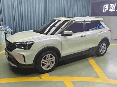 Venucia T60