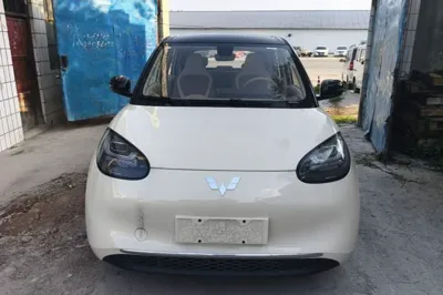 Wuling Bingo