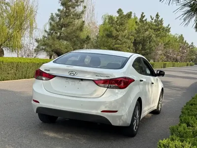 Hyundai Elantra Langdong