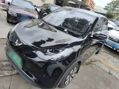 Wuling Bingo