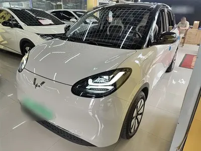 Wuling Bingo