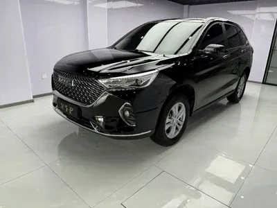 Haval M6