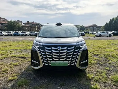 Denza Denza D9