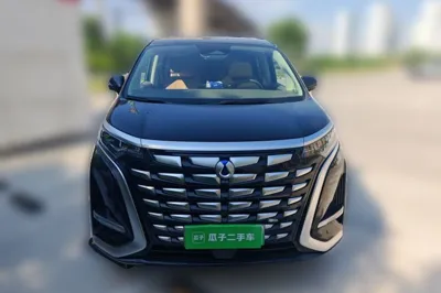 Denza D9
