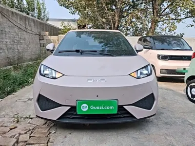 BYD Seagull