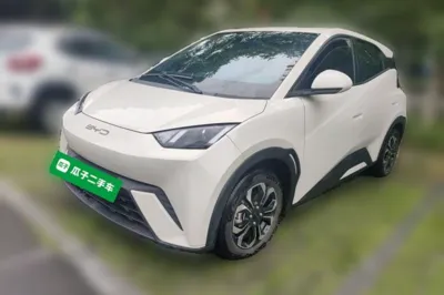 BYD Seagull