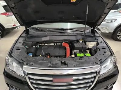 Haval H2