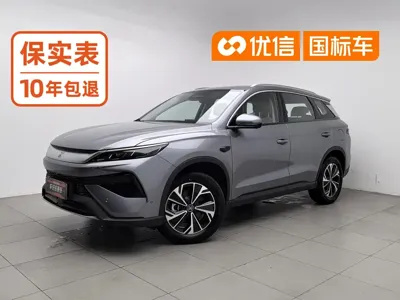 BYD Pro New Energy