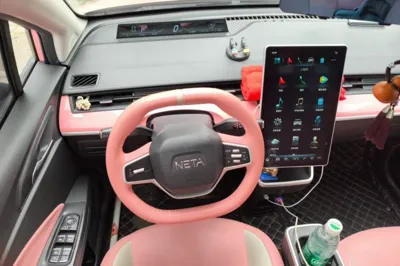 NETA V