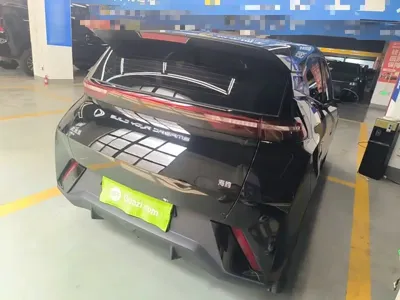 BYD Seagull