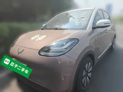 Wuling Bingo