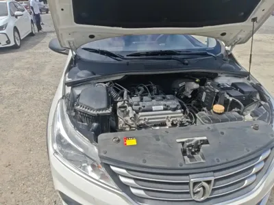 Baojun 310W