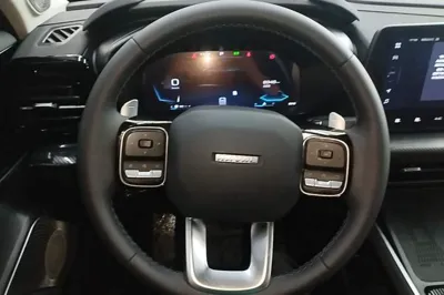 Haval X DOG