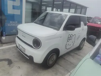 Galaxy Panda