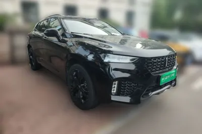 WEY VV7