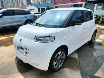 ORA Ora White Cat